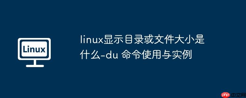 linux显示目录或文件大小是什么-du 命令使用与实例