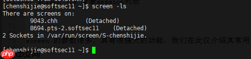 Java岗大厂面试百日冲刺 - 日积月累，每日三题【Day21】—— Linux命令