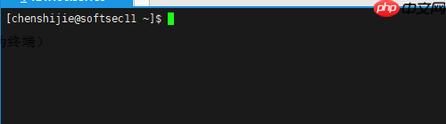 Java岗大厂面试百日冲刺 - 日积月累，每日三题【Day21】—— Linux命令
