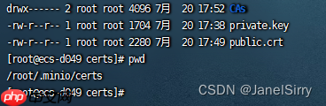 鲲鹏arm64 centos7下官方二进制文件带证书https安装minio X509等问题解决实践
