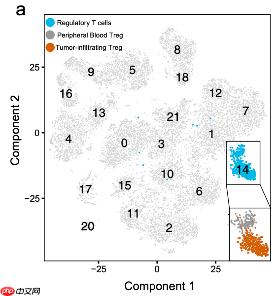 拟时序分析就是差异分析的细节剖析