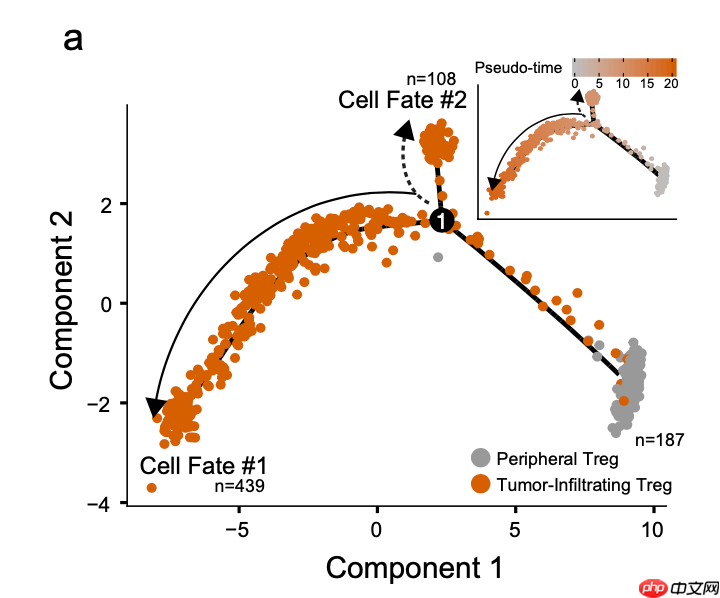 拟时序分析就是差异分析的细节剖析