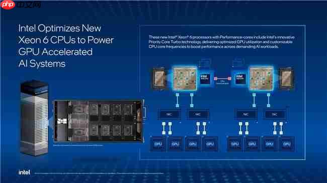 为什么选英特尔至强6776P做DGXB300的主控CPU？