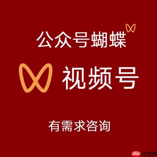 蝴蝶号推广必看：视频号内容策划、入口布局与粉丝沉淀策略
