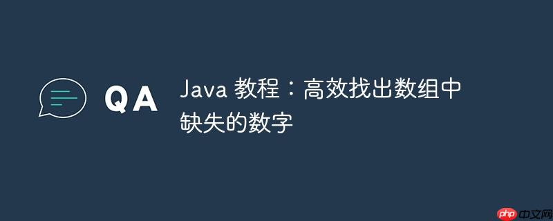 java 教程:高效找出数组中缺失的数字