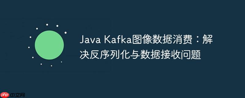 Java Kafka图像数据消费：解决反序列化与数据接收问题