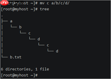 linux 入门指令