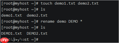 linux 入门指令