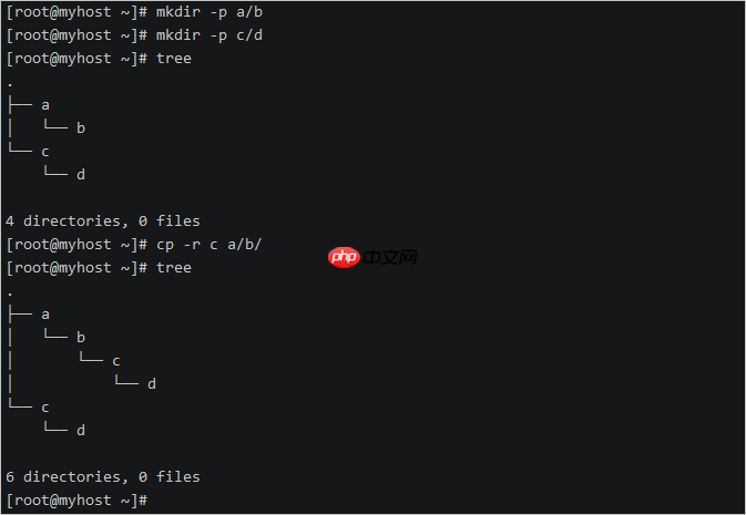 linux 入门指令