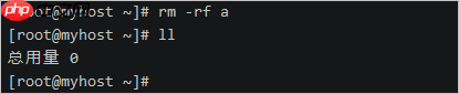 linux 入门指令