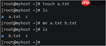linux 入门指令