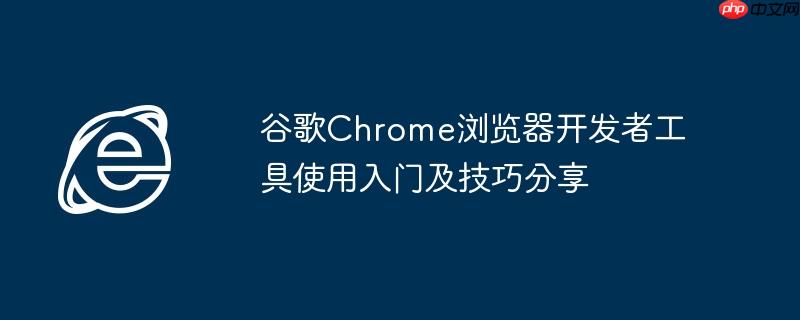 谷歌Chrome浏览器开发者工具使用入门及技巧分享
