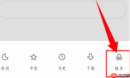 via浏览器怎么无痕浏览 具体操作方法介绍
