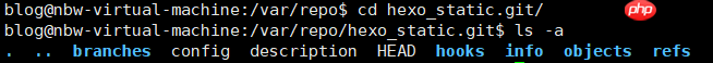 Hexo部署至服务器（Ubuntu 20.04）