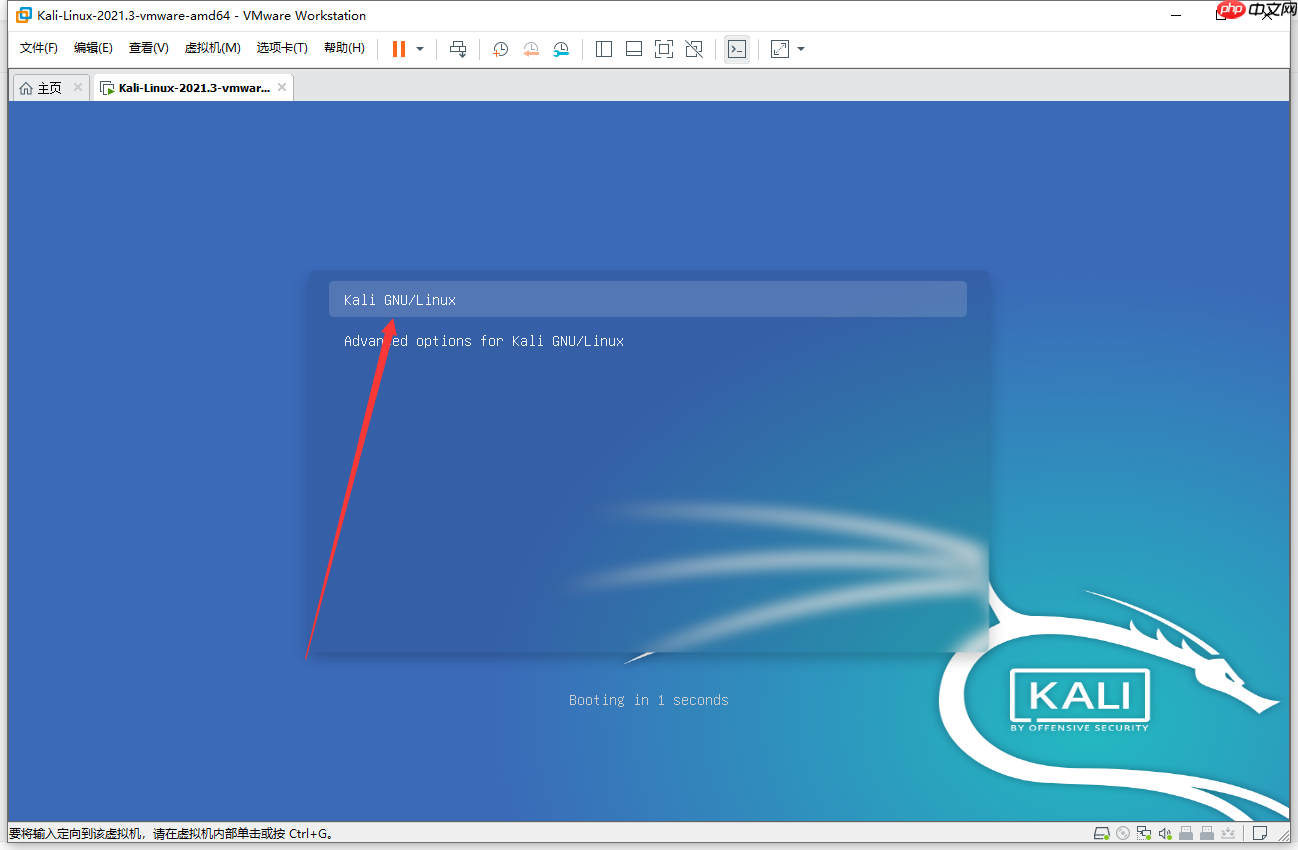 最新版本kali安装教程（VMware版本）