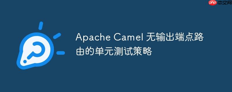 Apache Camel 无输出端点路由的单元测试策略