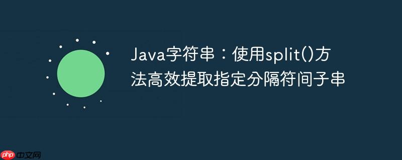 Java字符串：使用split()方法高效提取指定分隔符间子串