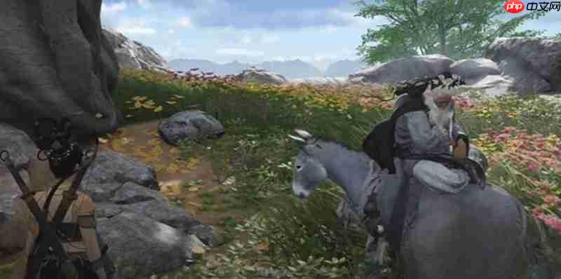 燕云十六声驴道人任务怎么过 驴道人任务流程