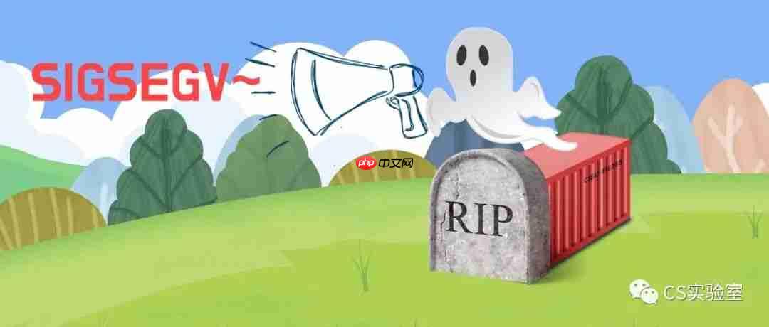 [译] sigsegv：linux 容器中的分段错误（退出代码 139）