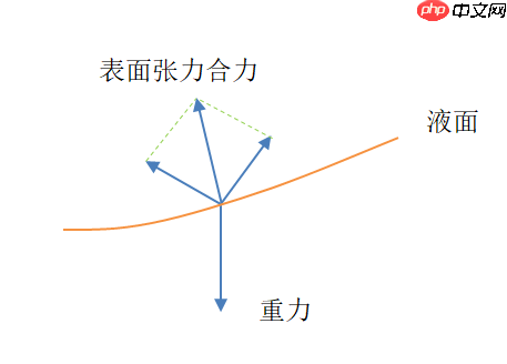 生活中的科学（一）——表面张力