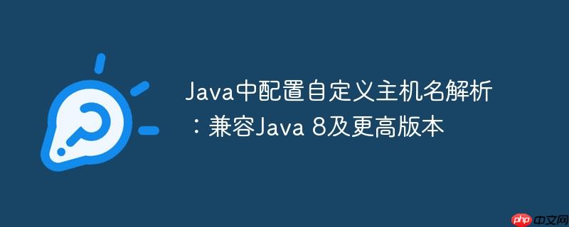 Java中配置自定义主机名解析：兼容Java 8及更高版本