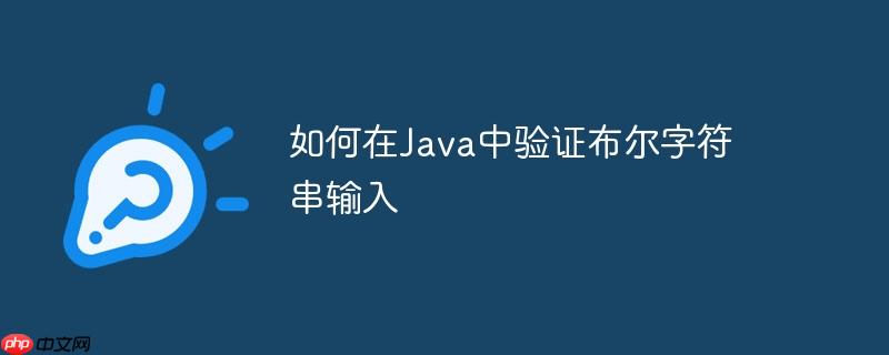 如何在Java中验证布尔字符串输入