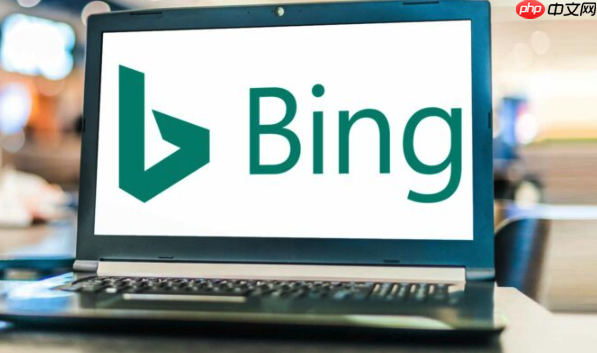 Bing浏览器怎么启用深色阅读 Bing浏览器护眼模式设置教程
