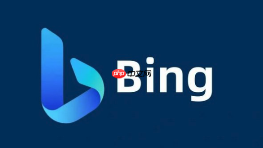 Bing浏览器页面翻译失效处理 Bing浏览器多语言支持配置
