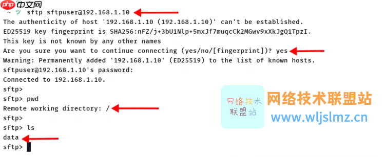 如何在 Linux 服务器上安装和使用 SFTP？