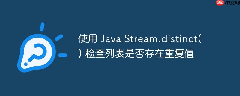 使用 Java Stream.distinct() 检查列表是否存在重复值