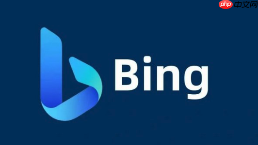 Bing浏览器无法打开网页怎么办 Bing浏览器网络连接问题解决方法