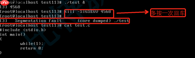 【Linux】解析信号的本质＆相关函数及指令的介绍