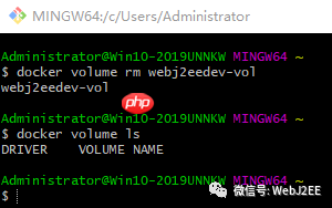 【Docker】：Docker 数据管理 - Volumes & Bind Mounts