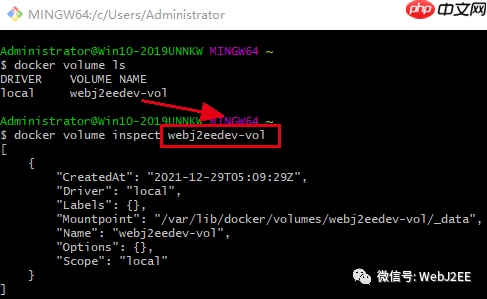 【Docker】：Docker 数据管理 - Volumes & Bind Mounts