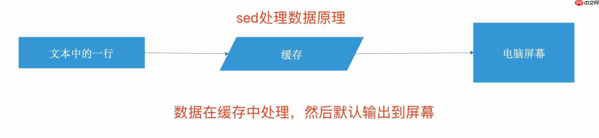 shell对文件的操作
