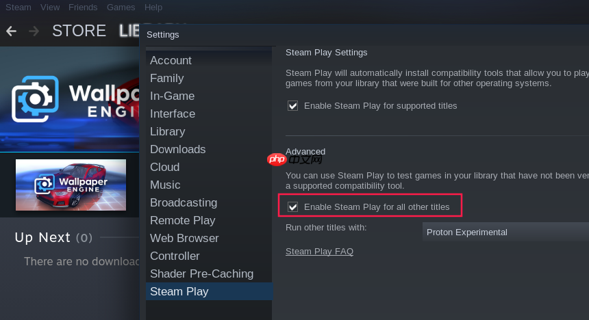 Deepin使用Wallpaper Engine的壁纸