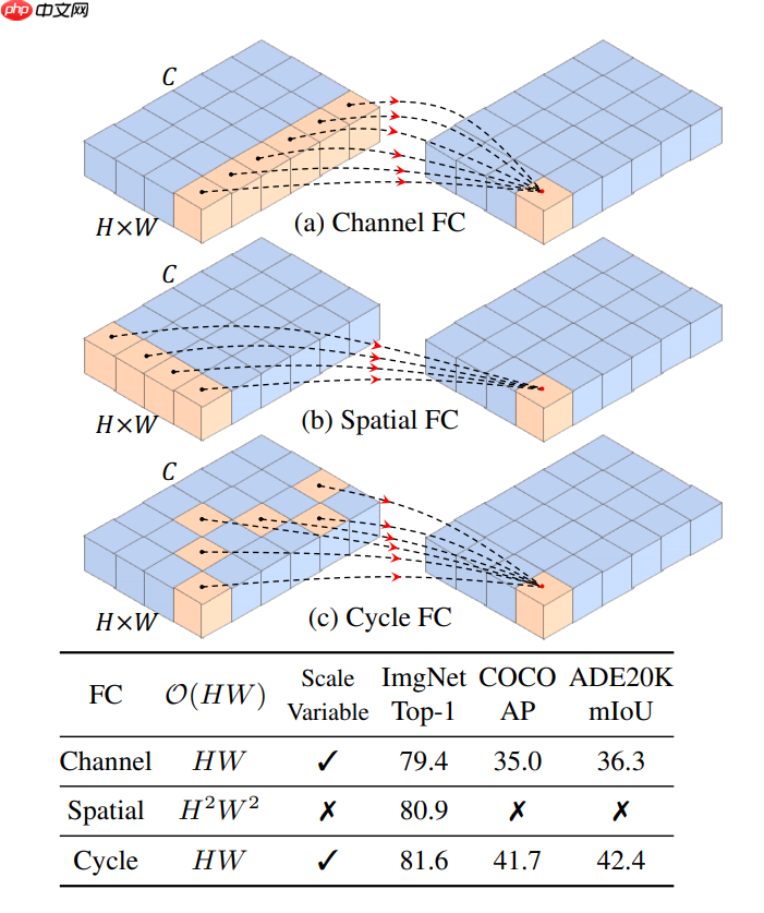浅析并实现 CycleMLP，一种用于密集预测的类 MLP 模型 - 创想鸟