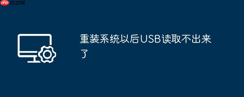 重装系统以后USB读取不出来了