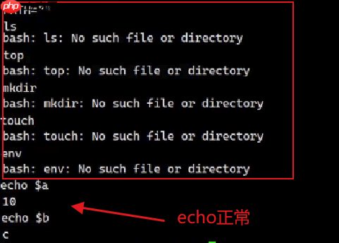 【Linux】环境变量常见指令操作＆基本实验（入门必看！）