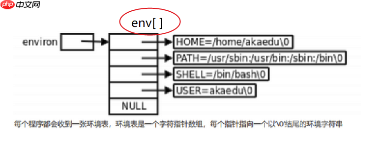 【Linux】环境变量常见指令操作＆基本实验（入门必看！）