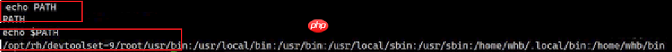 【Linux】环境变量常见指令操作＆基本实验（入门必看！）