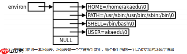 【Linux】环境变量常见指令操作＆基本实验（入门必看！）