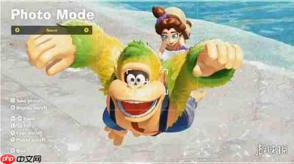 《咚奇刚蕉力全开》照片模式使用方法 怎么进入照片模式