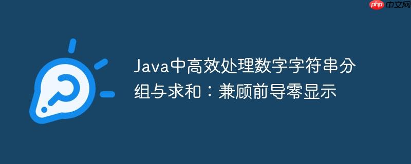 Java中高效处理数字字符串分组与求和：兼顾前导零显示