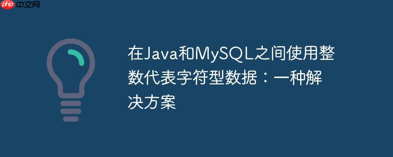在Java和MySQL之间使用整数代表字符型数据：一种解决方案