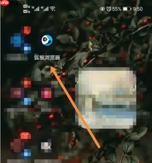 狐猴浏览器怎么全屏 狐猴浏览器开启桌面模式方法