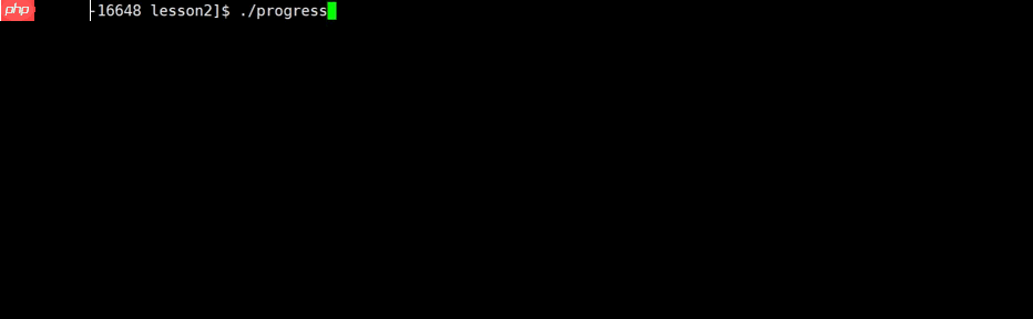 【Linux】第一个小程序——进度条实现