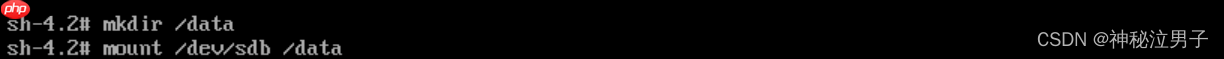 Linux MBR扇区故障 引导修复