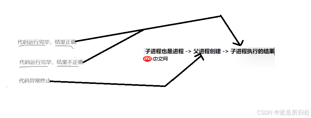 Linux系统 —— 进程控制系列 - 进程的创建与终止 ：fork与exit