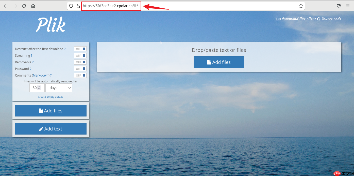 如何在Linux通过docker搭建Plik文件系统并实现无公网IP管理内网文件
